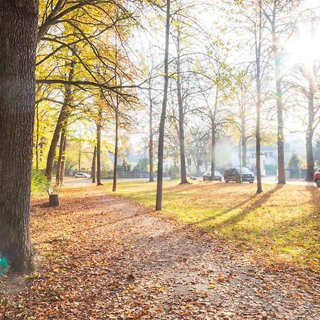 Stadtnatur Apartment Am Kuechwald - Mit Balkon, Streaming-Tv, Badewanne, Arbeitsplatz Chemnitz Eksteriør billede